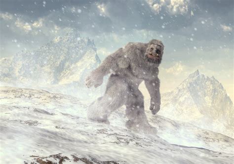 who are yeti's main suppliers